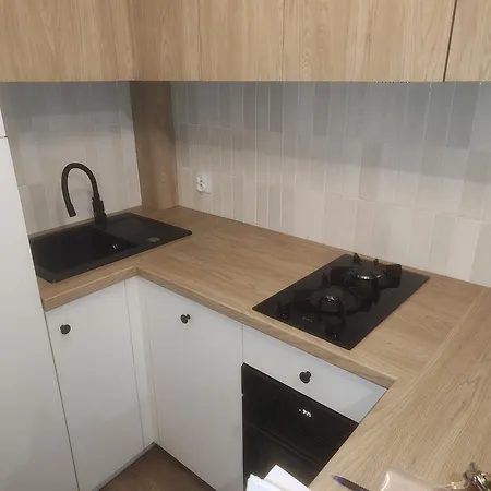 Vistula Flat شقة *